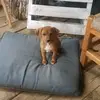 emma morrison - @emma.morrison5 - TikTok