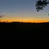 Emma Morrow - @emmamorrow0915 - TikTok