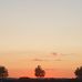 Emma Moser - Facebook