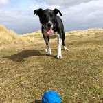 Emma Mountford - @emmamountford - Instagram