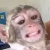 Emma - @emmanew69 - TikTok