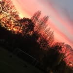 Emma_land - @emmanew0920 - Instagram