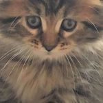 Emma newby - @newby8320 - Instagram