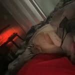 Emma Norris - @emmanorris_6446 - Instagram