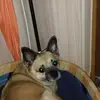 EMMA OCASIO - @aniakrólik - TikTok
