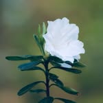 Emma Painter - @photography_girl_6445 - Instagram