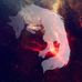 Emma Pfaff - Facebook