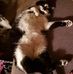 Emma Pfaff - Facebook