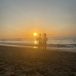 Emma C. Pfister - @duckduckgoosego - Instagram