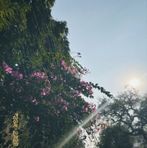 Emma Pham - Facebook
