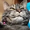 Emma Pitts - @user9493535187180 - TikTok