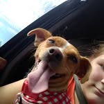 Emma Polk - @queen_6_demon - Instagram