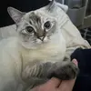 Emma Prentice - @emmaprentice11111 - TikTok