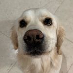 Emma Prentice - @zqmmaxz - Instagram