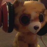 emma purdy - @flyin_taco_nyan_cats_ - Instagram