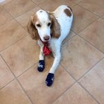 Emma Purdy - @1982ep - Instagram