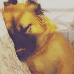 Emma Purdy - @emmapurdy2010 - Instagram
