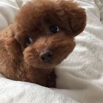 Emma - @emmaraderscloset - Instagram