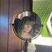 Emma Rader - Facebook