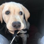 Emma Rader - @emmerz_r - Instagram
