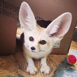 Emma Randall - @emmarandall360 - Instagram
