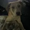emma renee - @emma.renee24 - TikTok