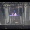 Emma - @rizzoemma2022 - TikTok