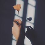 𝐸𝓂𝓂𝒶 🌸 - @emma_romano__ - Instagram