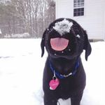 Emma_samples - @emma_samples8012 - Instagram