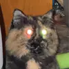 Emma Satterfield - @emma.satterfield4 - TikTok