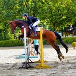 Emma Scherer - @_emma_and_baleno - Instagram