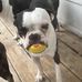 Emma Schroeder - Facebook