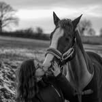 Emma Schroeder - @emmaschroederphotography - Instagram