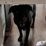 Emma schuster - @emmaschuster3873 - Instagram