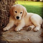 Emmaschwab - @emmaschwab123 - Instagram