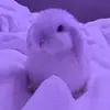 emmascully - @emmascully07 - TikTok