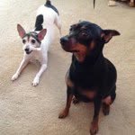 Emma Shepard - @pitkid - Instagram