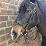 Emma Jones + Millie Sherry - @horseriding_xoxo - Instagram