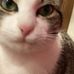 Emma Skaggs - Facebook