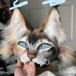 Emma sparks - @emma_wolfie2 - Instagram