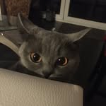 @emmaspeicherprvt - Instagram