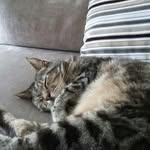 emma squires - @squires8821 - Instagram