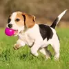 Emma Steed - @emma.steed4 - TikTok