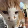 Emma Steed - @emsteed - TikTok