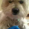emmasteed919 - @emmasteed919 - TikTok