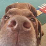 Emma Steer - @emmawyatt4421 - Instagram