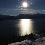 Emmastraub - @emma__straub - Instagram