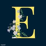 Emma Swain - @emmaswainupholstery - Instagram