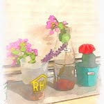 Emma Taff - @momma_plants - Instagram