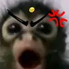 emma.ttang - @emma.ttang - TikTok